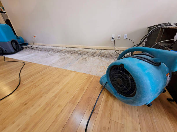 Professional Flood Damage Cleanup technician working in Monmouth, OR